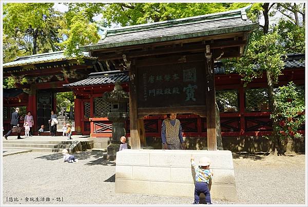 根津神社杜鵑-153.JPG