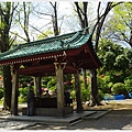 根津神社杜鵑-152.JPG