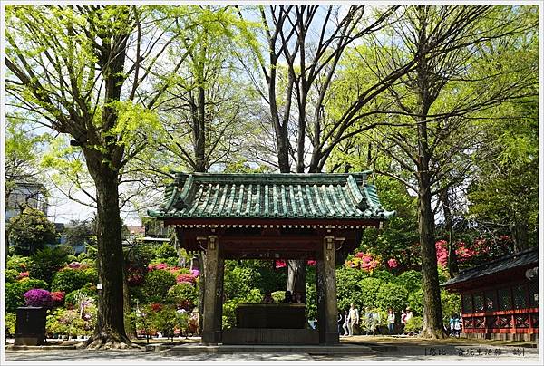 根津神社杜鵑-155.JPG