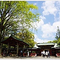 根津神社杜鵑-158.JPG