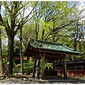 根津神社杜鵑-157.JPG