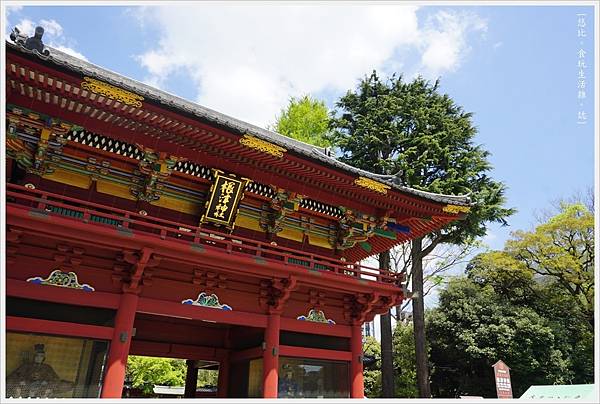 根津神社杜鵑-166.JPG