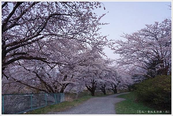 藤田川-39.JPG