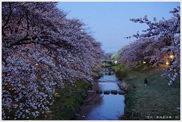 日本東北 福島 郡山喜久田 藤田川ふれあい桜 藤田川 57 Jpg 悠比 的相簿 痞客邦