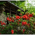 吉備津神社-73.JPG