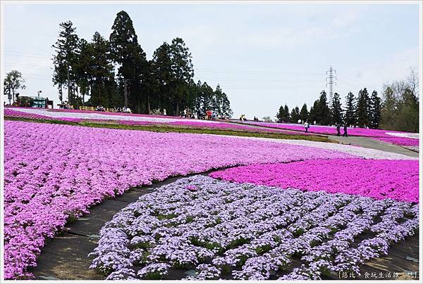 羊山公園-85.JPG