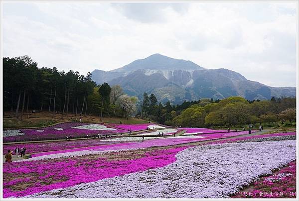 羊山公園-96.JPG