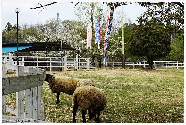 羊山公園-105.JPG