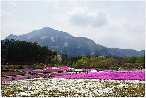 羊山公園-118.JPG