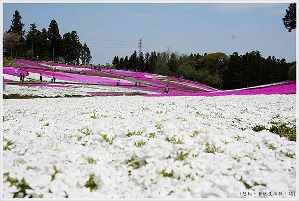 羊山公園-29.JPG