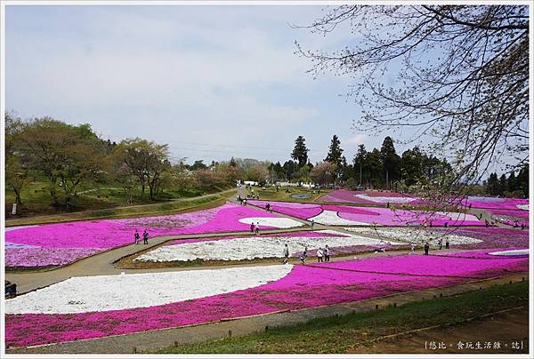 羊山公園-35.JPG