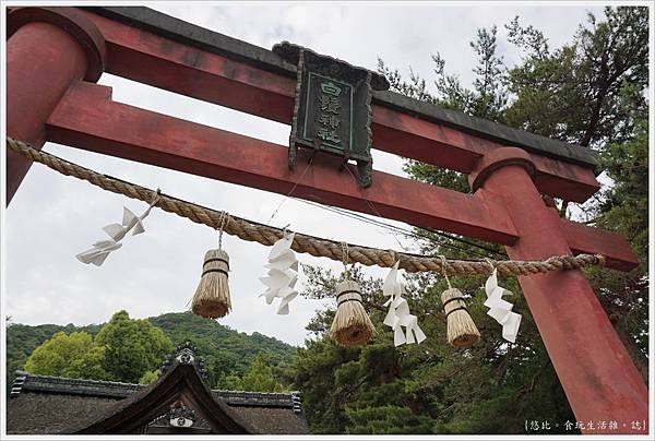 白鬚神社-14.JPG