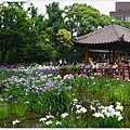 城北花園-12.JPG