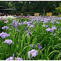 城北花園-20.JPG