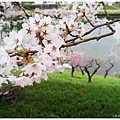鶴城公園-45.jpg