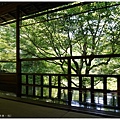 琉璃光院-18.JPG