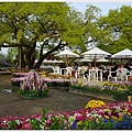 足利花卉公園-53.JPG