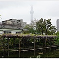 龜戶天神社-5.JPG