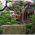 龜戶天神社-12.JPG