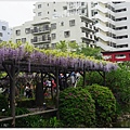 龜戶天神社-32.JPG