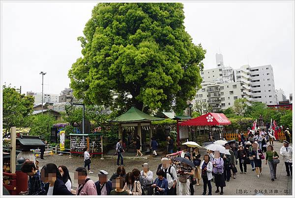 龜戶天神社-57.JPG