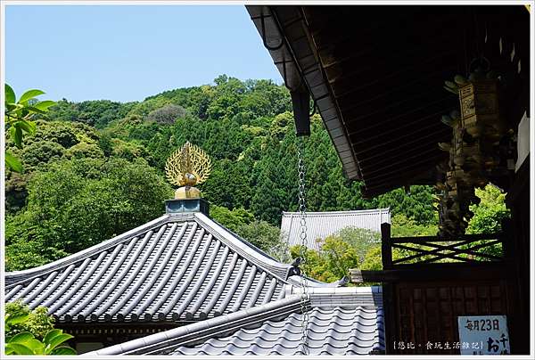奈良 紫陽花開繡球花寺 矢田寺 悠比 食 玩 痞客邦 奈良 紫陽花開繡球花寺 矢田寺 悠比 食 玩 痞客邦