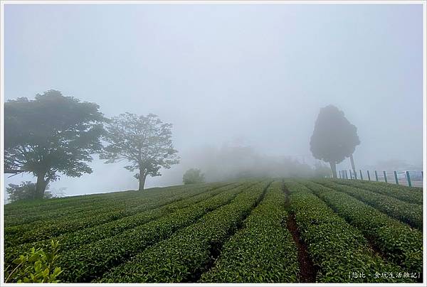 隙頂-3.jpg 隙頂-3.jpg