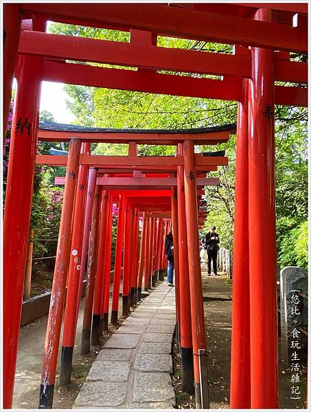 根津神社-7.jpg