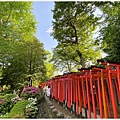 根津神社-9.jpg