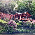 根津神社-12.jpg