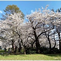 蘆野公園-30.jpg