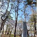 蘆野公園-76.jpg