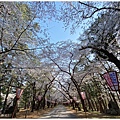 蘆野公園-80.jpg