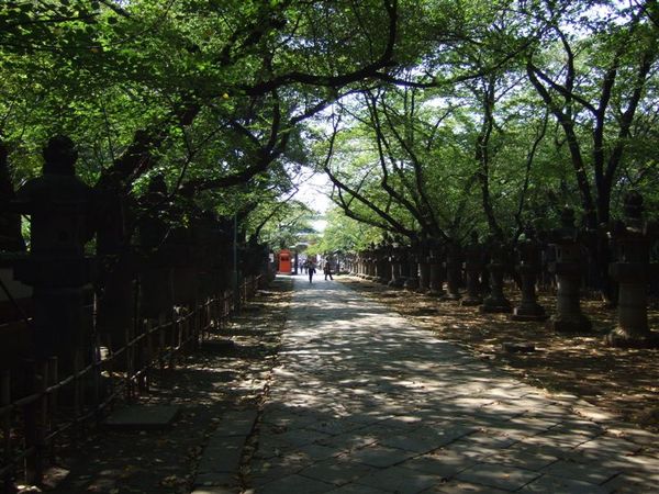 走往神社前一定要有寧靜的林蔭大道！