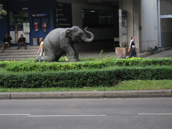大象就在路上亂跑.............假的啦^^"