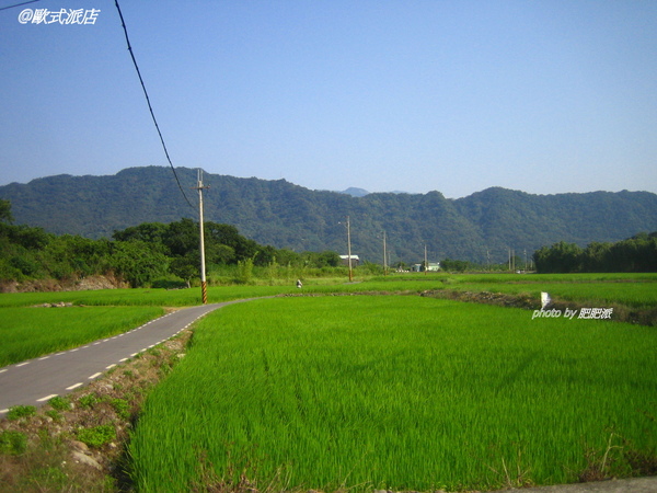 blog20090527-08 自行車道旁的稻田.jpg