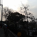 20140316_164855.jpg