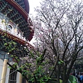 20140316_170523.jpg