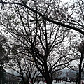 20140316_171428.jpg