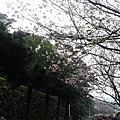 20140316_171435.jpg