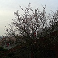 20140316_171534.jpg