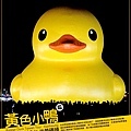 rubber duck_03.jpg