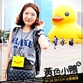 rubber duck_02.jpg