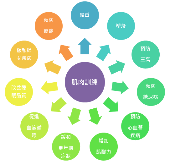 肌肉訓練的好處 (1)