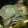 動物園戶外教學 022.jpg