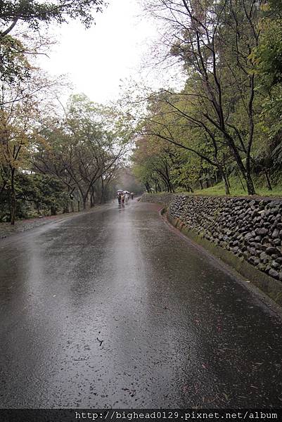 雨