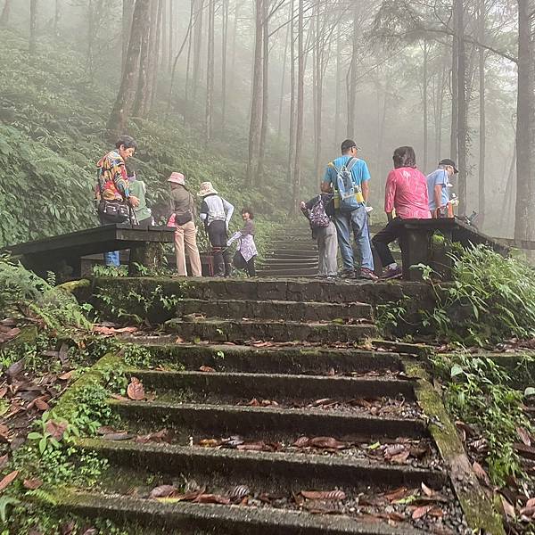 LINE_ALBUM_明池小木屋雨下不停_230206_34.jpg