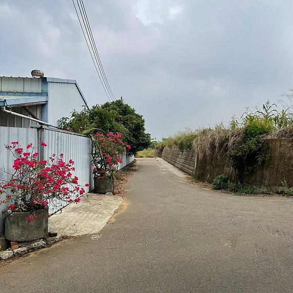 LINE_ALBUM_南寮竹坑步道_230330_5.jpg