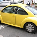 beetle