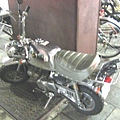 honda-monkey50